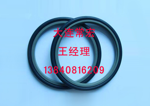 斯特封密封圈 斯特封密封圈